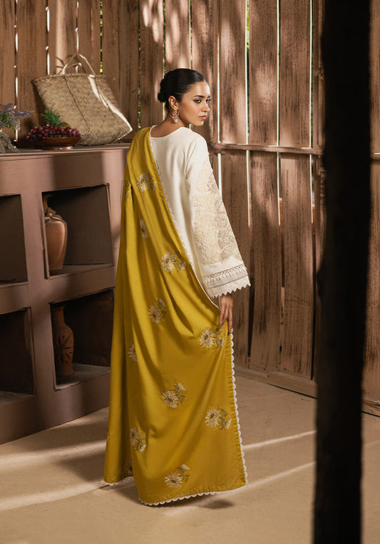 3PC Summer Casual Collection