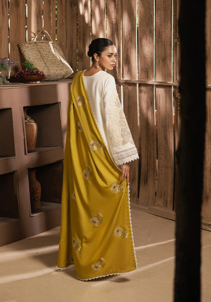 3PC Summer Casual Collection