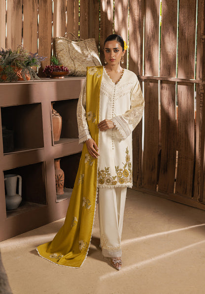 3PC Summer Casual Collection